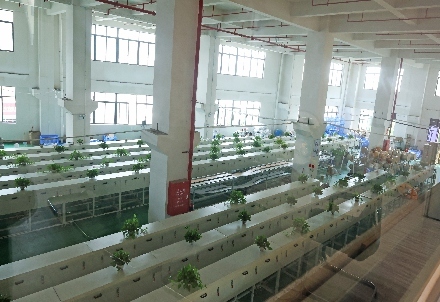 Silicone lighting production floor and extrusion lines